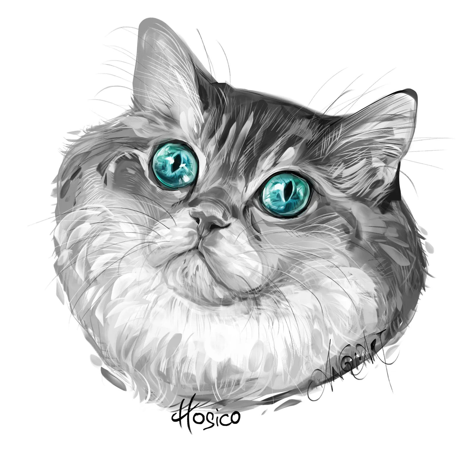 Portrait of Hosico by Anqi