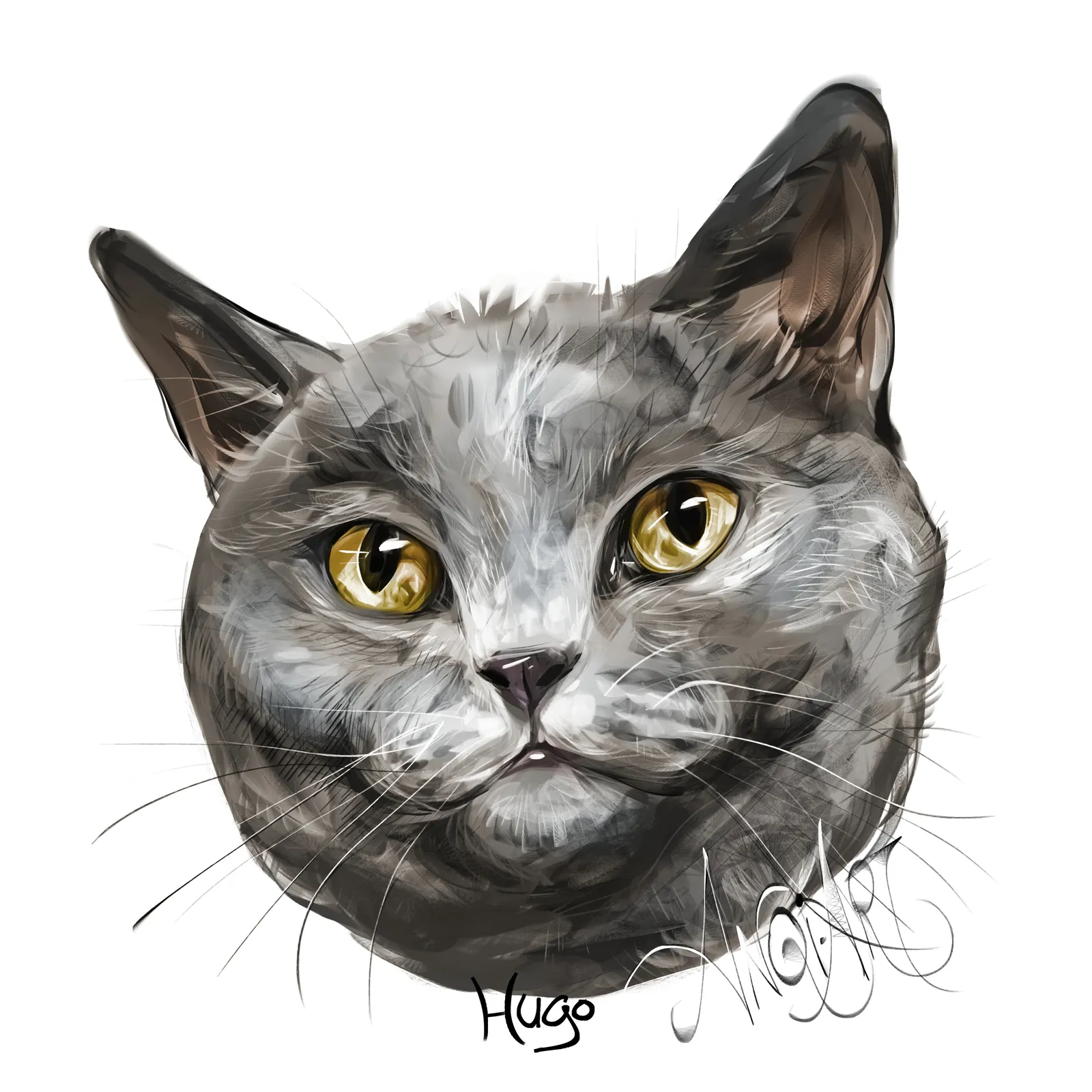 Portrait of Hugo by Anqi