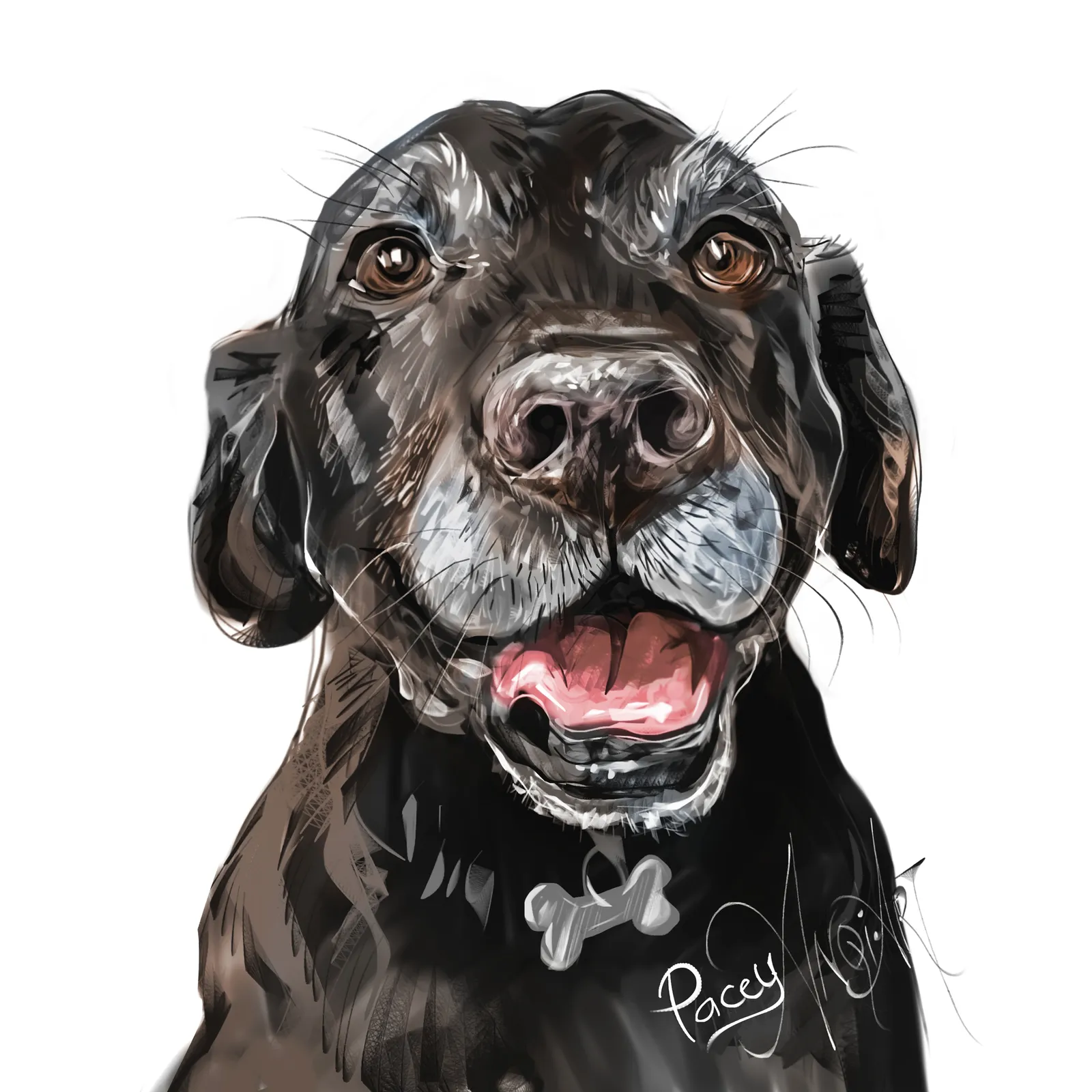 Portrait of Pacey by Anqi
