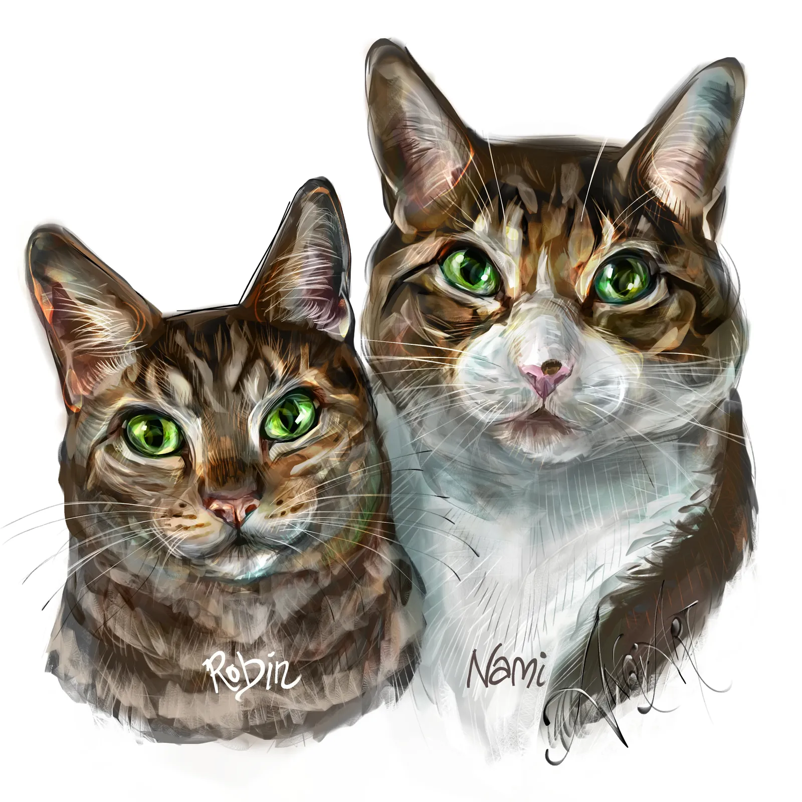 Portrait of Robin and Nami by Anqi